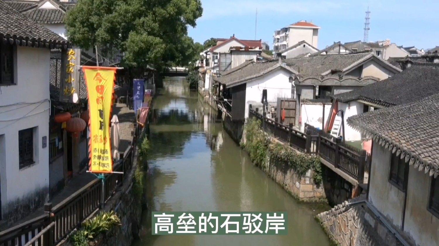 大金狮逃生